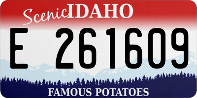 ID license plate E261609