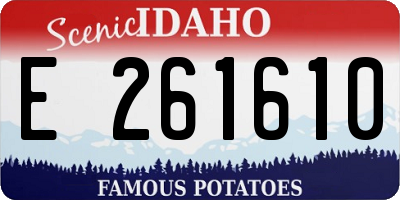 ID license plate E261610