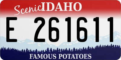 ID license plate E261611