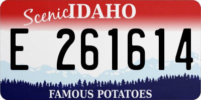 ID license plate E261614