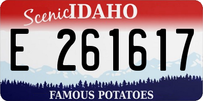 ID license plate E261617