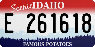 ID license plate E261618