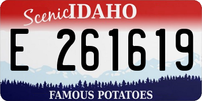 ID license plate E261619