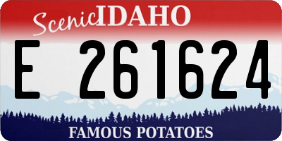 ID license plate E261624