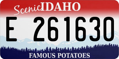ID license plate E261630