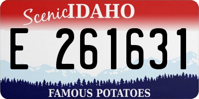 ID license plate E261631
