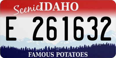ID license plate E261632