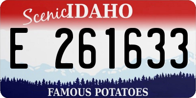ID license plate E261633