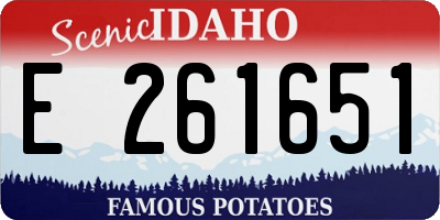 ID license plate E261651