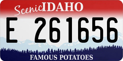 ID license plate E261656