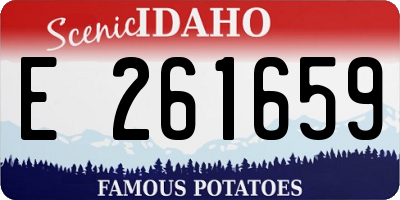 ID license plate E261659