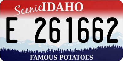 ID license plate E261662