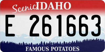 ID license plate E261663