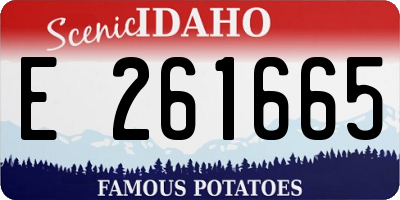 ID license plate E261665