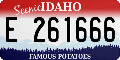 ID license plate E261666