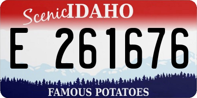 ID license plate E261676
