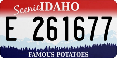 ID license plate E261677