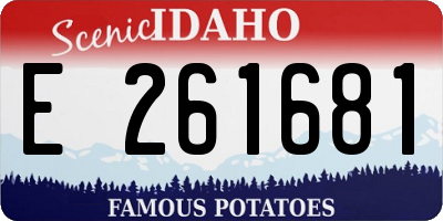 ID license plate E261681