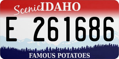 ID license plate E261686