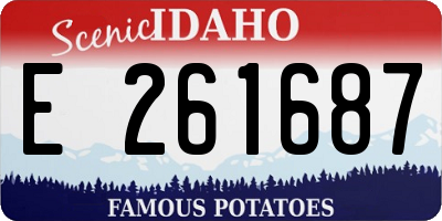 ID license plate E261687
