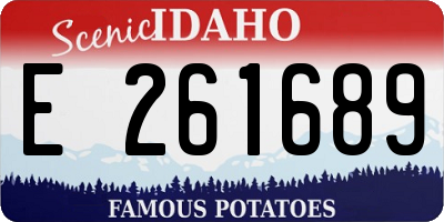 ID license plate E261689