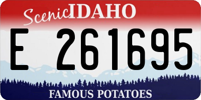 ID license plate E261695