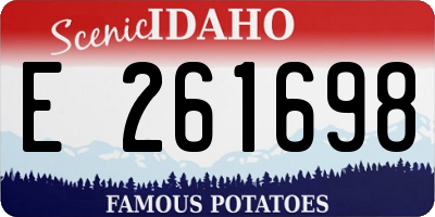 ID license plate E261698