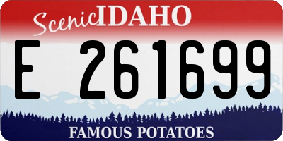 ID license plate E261699