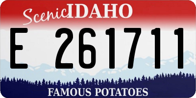 ID license plate E261711