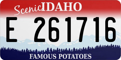 ID license plate E261716