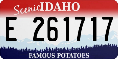 ID license plate E261717