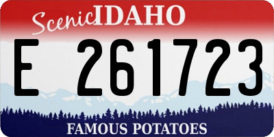 ID license plate E261723