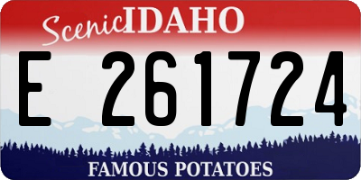 ID license plate E261724