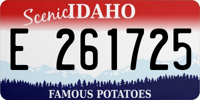ID license plate E261725