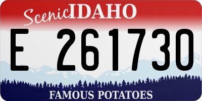 ID license plate E261730
