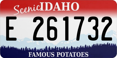 ID license plate E261732