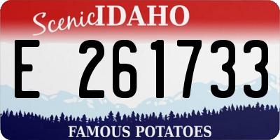 ID license plate E261733
