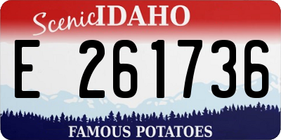 ID license plate E261736