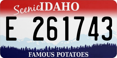 ID license plate E261743
