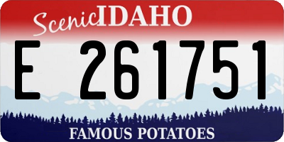 ID license plate E261751