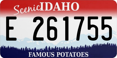 ID license plate E261755