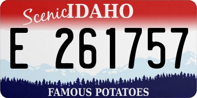 ID license plate E261757
