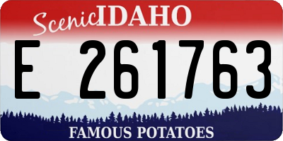 ID license plate E261763