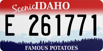 ID license plate E261771
