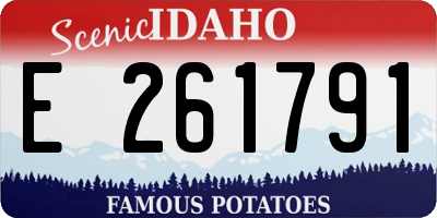 ID license plate E261791