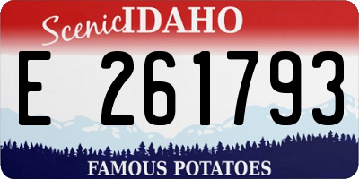 ID license plate E261793
