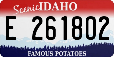 ID license plate E261802