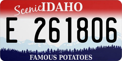 ID license plate E261806