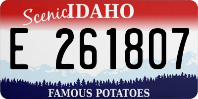 ID license plate E261807