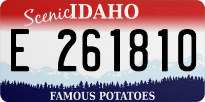 ID license plate E261810
